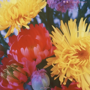 穿丁字裤美女的相亲
