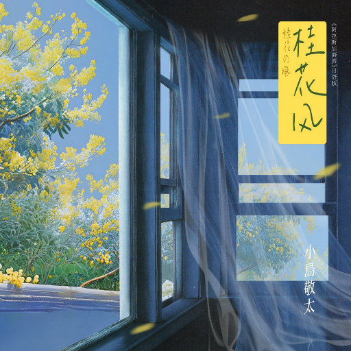 穿丁字裤美女的相亲
