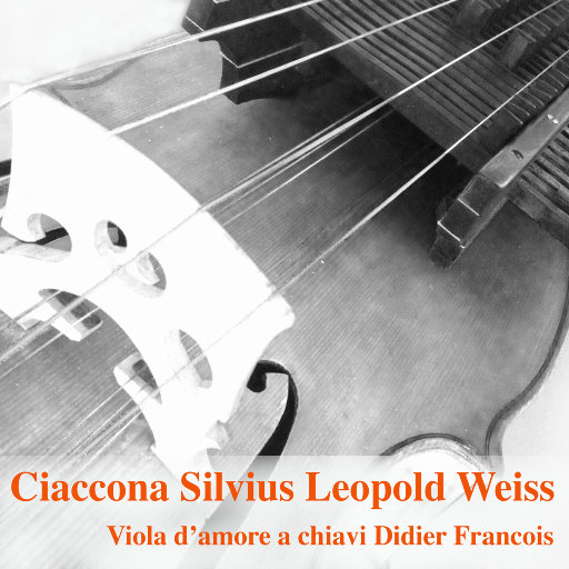 穿丁字裤美女的相亲
